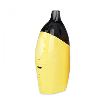 kit Dolphin galben